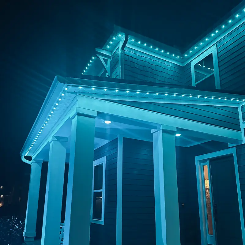 Residential & Commercial Jellyfish Lighting. Ellowitz Electric South, Local Electrician.